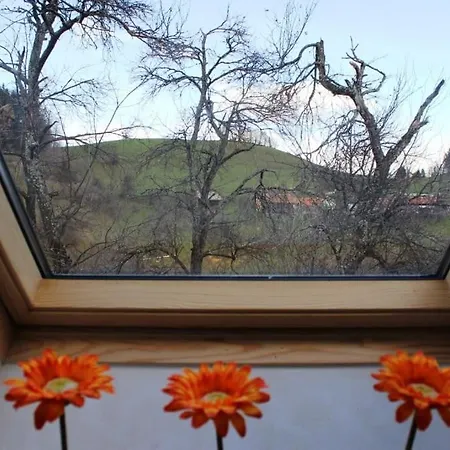 Stunning Hills View